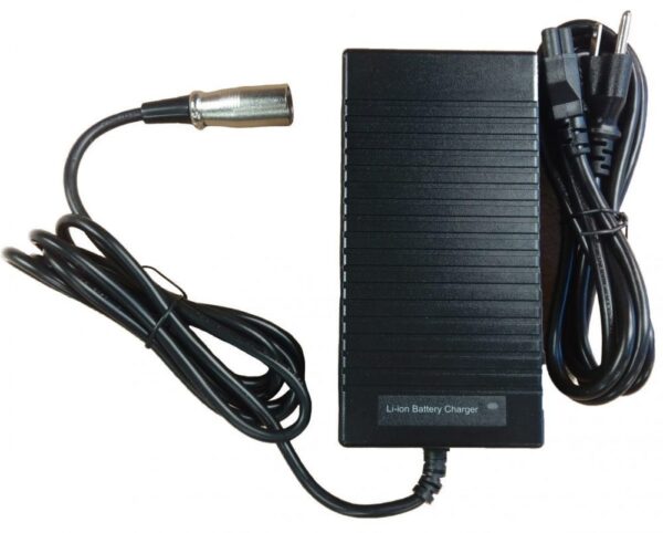 CHARGEUR RAPIDE VSETT 10+ / MUKUTA 10+
