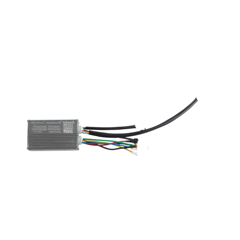 Controller für Kaabo Mantis X ECO